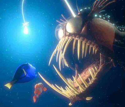 angler fish makes clever use of