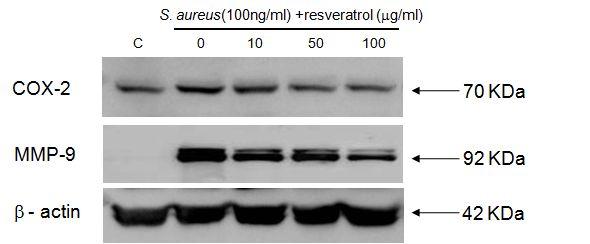 Fig. 10.