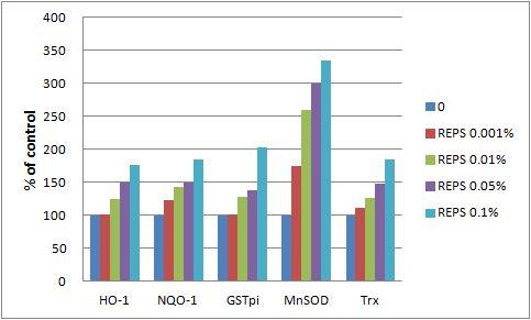 Figure 2. REPS up-regulates a set of antioxidant enzymes in HDFs.