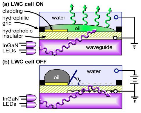 Electrowetting display