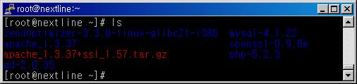 apache_1.3.37+ssl_1.57.tar.gz ( 3 ) OpenSSL 설치 1 컴파일환경설정 [ root@nextline ~]# cd openssl-0.9.8e [root@nextline openssl-0.9.8e]#.