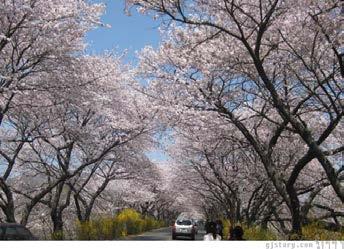 3) The blue sky: 파란하늘 (Paran haneul) Fallen leafs festival: 낙엽축제 (Nakyeop-chukje)