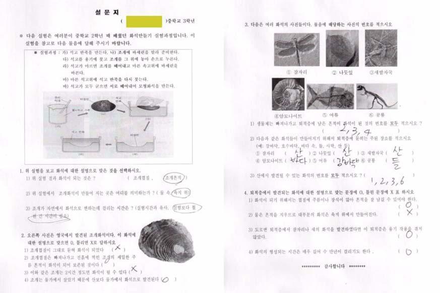 310 y Á ³ Áx Fig. 3. Questionnaire used to investigate student's understanding related to fossilization. š ù w ù xk w w wš. ƒ n w ƒ, Ë»ƒ y y» y x» w» w.