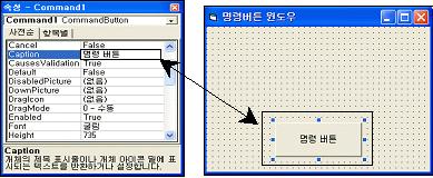 CommandButton( ) Caption 속성