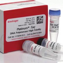 행사제품리스트 PCR Enzyme (p5)
