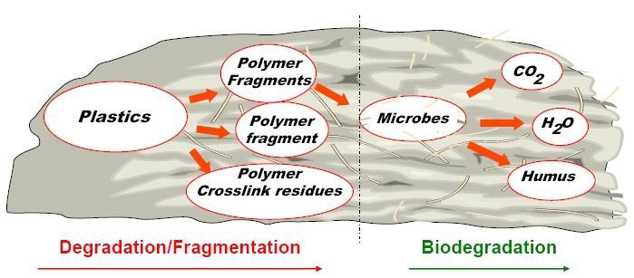 2. 제품의개요 생분해성수지 (Degradable Polymer) 로이루어진필름 (100% 분해 ) 분해시간 (time of degradation)