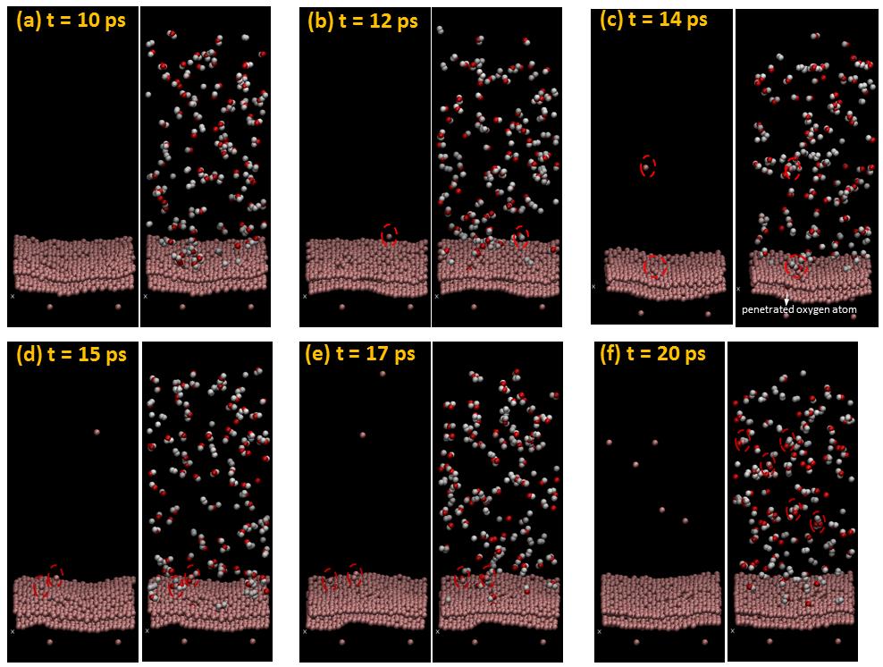 제 19 권제 6 호 2015. 12. 61 Fig. 7 Visualization of MD simulation for H 2 O-graphite equilibrium stage.