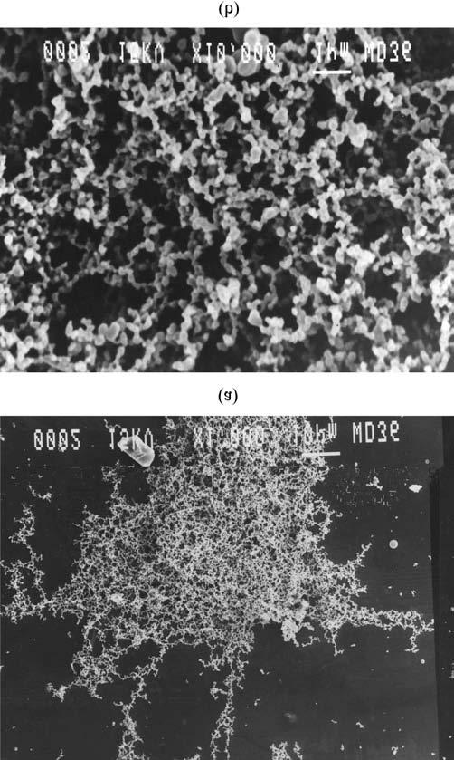 초임계유체를이용한다양한형상의고분자미분말제조 205 Fig. 2. SEM images of PS particles produced at 25 o C and 1,000 psi (1 wt% PS solution, a: x1,000, b:x10,000). 의 SEM 사진을 Fig. 3 에나타내었다.