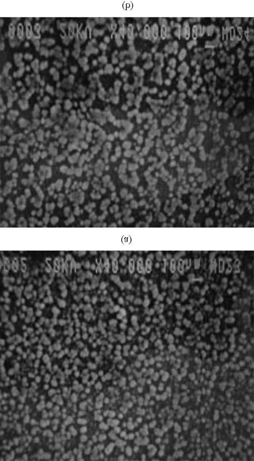 초임계유체를이용한다양한형상의고분자미분말제조 209 Table 2. Experimental conditions and characteristics of PMMA particles produced by co-current injection of anti-solvent and polymer solution Temp.( o C) Press.