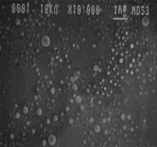 ml Depressurizing 30 min. CO 2 inj. time 2.5 min Fig. 10. SEM images of PLGA particles produced by co-current injection of polymer solution and compressed CO 2. (a) Temp.: 18.