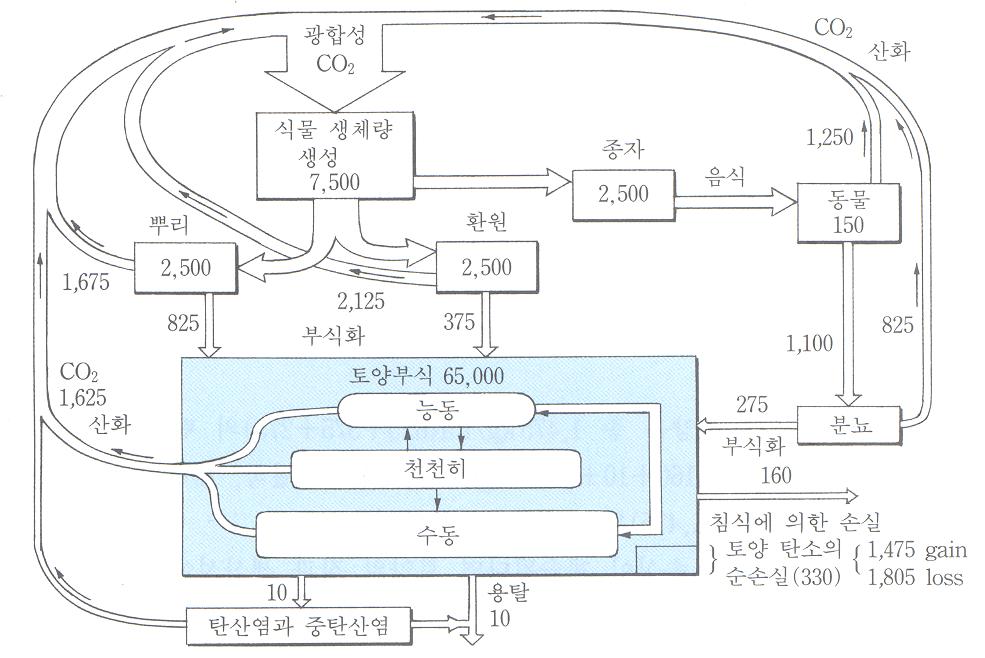 부록 1 121 부록 1 토양유기물의역할 1. 농경지에서유기물수지토양이유기물을많이보유하면보유할수록토양의질과생산성이향상될뿐만아니라온실기체의방출량도상당량감소된다. 그러므로토양유기물이증가되는가감소되는가는토양이탄소를더보존하는가더잃는가와관련이있다. 옥수수경작지에서일어나고있는탄소의균형을 < 그림 1> 에하나의모델로제시하였다.