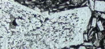 Plagioclase melt reaction Figure 3-11. a.