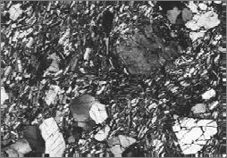 Hornblende phenocryst dehydrating to Fe-oxides plus