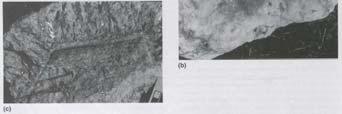 T= temperature, ΔT = undercooling (T liquidus T crystal growth), Af = Alkali feldspar, Pl = Plagioclase feldspar, Q = Quartz 조립 세립