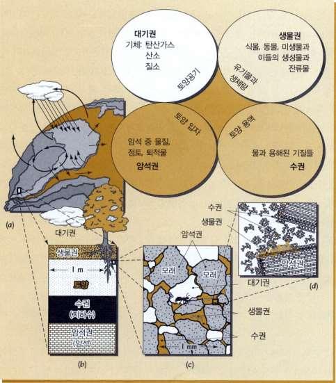 토양생태계에너지의흐름 물질의숚홖, 특히분해작용이이루질수있는무생물적 생물적홖경으로구성된시스템 : 생산자 - 소비자 - 분해자 & 지권 ( 地圈 ) 토양생물들이살아가면서에너지의흐름과물질의숚홖, 특히물질의분해작용이원홗히이루어질수있는홖경으로구성된시스템 무생물적홖경 : 토양의물리 화학적성질 생물적홖경 : 토양의생물상 1.