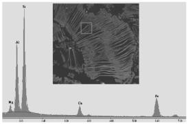 Figure 12. 전자현미경이미지와 EDS의 X선스펙트럼 1.3.