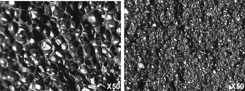 고무 100에대하여 7 phr (per hundred resin) 정도의 AC 발포제양이가장이상적인기공크기를갖고잔류되는발포제의양 (1 phr 이하 ) 이최소였다. 고무 100에대한발포제 (DPT 와 AC) 7 phr의비율로발포된고무제품의단면사진을 Figure 3에나타내었다. 3.1.3. 카본과유황의종류카본은부표제조시 NBR 다음으로많이첨가되는주원료이다.