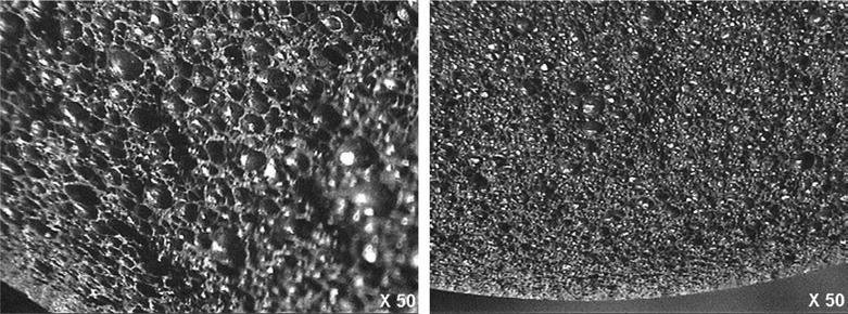 LPG 고압탱크레벨게이지 (Level Gauge) 용발포부표제조기술 365 Figure 6. Croess-sections of the floaters dependent on the sulfur sizes; 325 Mesh 400 Mesh. 3.2. 제조공정에따른물성변화효과 3.