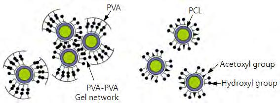 유화 - 확산법에의해제조된폴리 (ε- 카프로락톤 ) 나노 / 마이크로캡슐의형태적특성 Ⅰ233Ⅰ 이러한교반속도의존성의입경변화는 98.5% 가수분해도인 PVA1 에서뚜렷하게보여진다. PVA1 과 PVA2 의점도가각각 18.5cP 와 19.