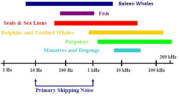 continental shelf," Journal Acoustical Society of America, Vol. 87, pp. 2064-2071. Fig. 1 Frequency of primary shipping noise and marine animals. Figure courtesy of B. Southall, NMFS/NOAA 표 1.