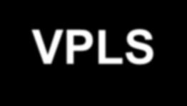 23 Concept of VPLS service VLAN blue L2 Switch (Bridge) VLAN red Customer 의 CPE devices 들은마치자신이하나의 L2 switch 에연결되어있고하나의 L2 broadcast domain
