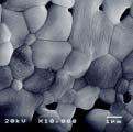 Microstructure of the Li 2 TiO 3 compact made by solid state