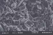 Fracture morphology of the Li 2 TiO 3 pellets sintered