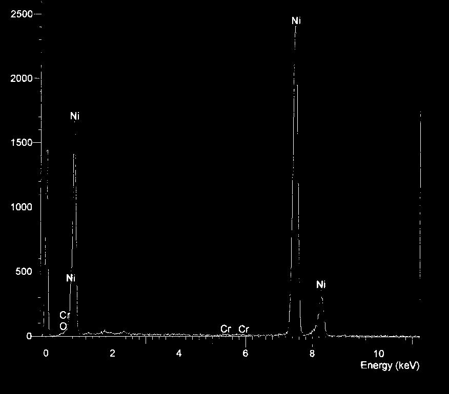 micrograph (A) fo the 0.