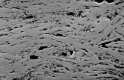 Backscattered electron micrographs of the tapes