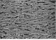 Critical current density of the tapes containing various amounts of 2223 seed particles.