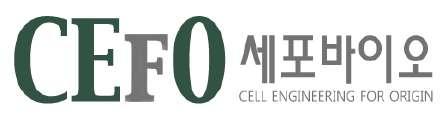 Therapy & CEFO R&D Stem cell therapy for bone defect Drilling Transplantation D a y 1 Smart Cell D a y 2 1 Animal Cell Therapy 동물조직확보및간엽줄기세포 Banking - 최적화된배양시스템개발및상용화 - Banking 3D stem cell expansion