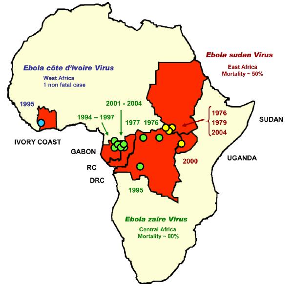 에볼라바이러스발병 자료 : Pourrut et al. (2005) The natural history of Ebola virus in Africa.