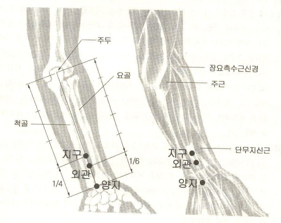 手指不能屈伸 ( 수지불능굴신 ) 등.