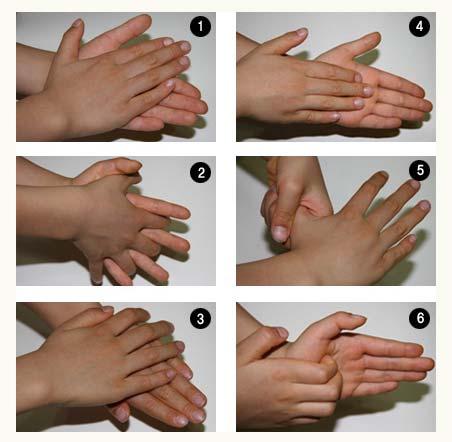 6 장. 노인요양공동생활가정질관리 237 4) 방법 1 비누를묻힌손바닥과손바닥을마주쳐서문지른다. 2 손바닥과손바닥을마주쳐서손깍지를끼고문지른다. 3 손바닥과손등을마주쳐서문지른다. 손을바꿔서도한다. 4 손가락을반대편손바닥에대고문지른다.