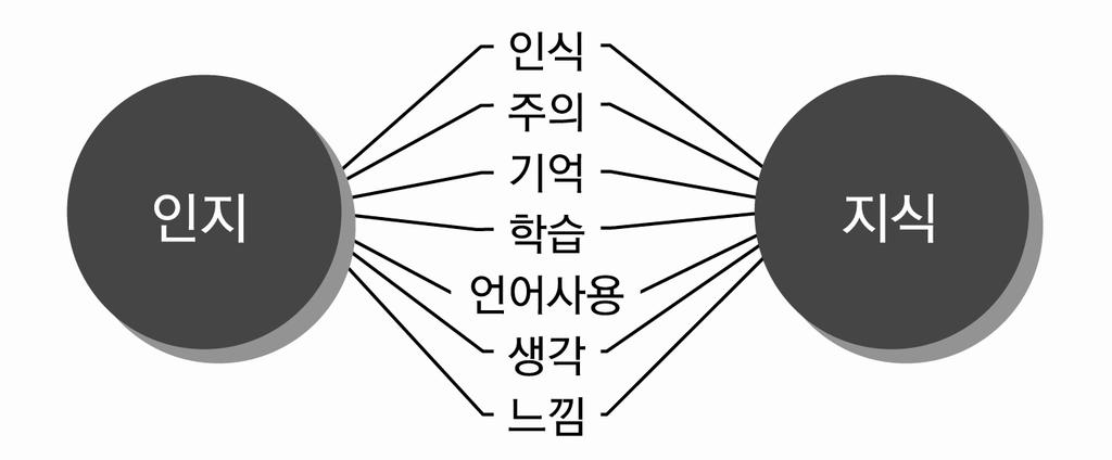 사람이사물을봤을때, 실제존재하는사물이아닌다른형태로변형된물체로사람의망막에맺히게된다.< 표. 2의 a과정 > 이러한변형된사물이전기신호로바뀌는것을수용기상의자극이라고하며, 이러한과정을통해서사람의뇌에전달되어과거에경험한사물을본것을느끼는과정을지각이라고한다. [ 표.