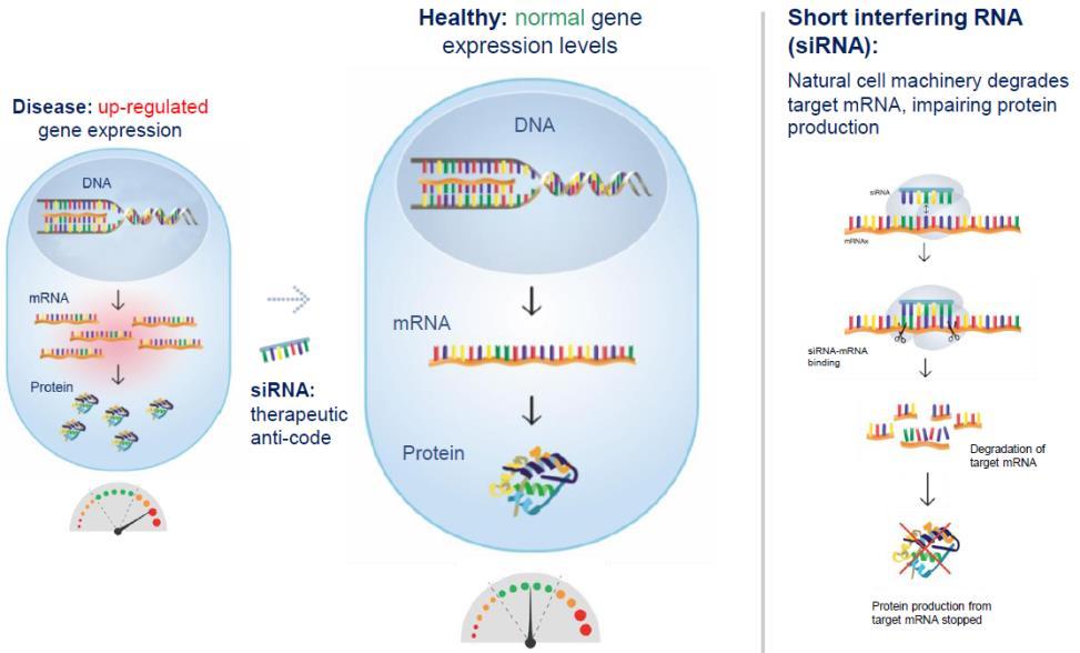 RNA 치료제 RNA 치료제 단백질치료제를질환단백질저해기전과추가적인단백질투입기전으로나뉘는것이 RNA 단계에서도적용가능 유전자발현