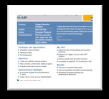 프리젠테이션자료들 SAP