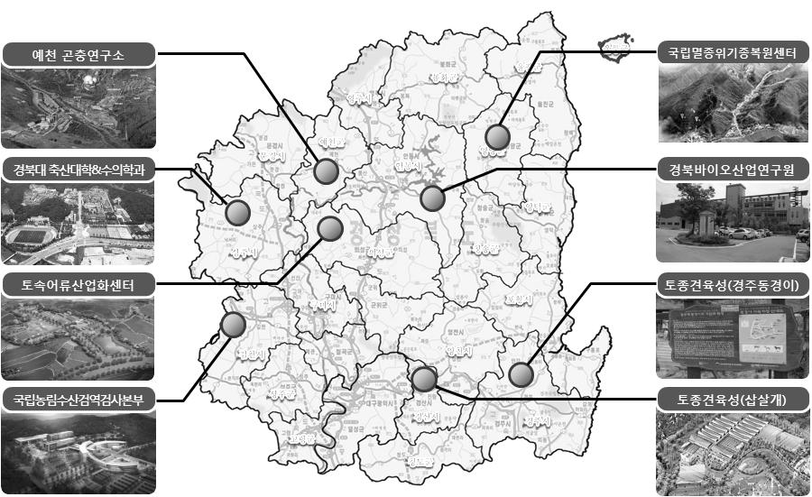 제 3 장경상북도의여건및잠재력 제 1 절반려동물산업발전기반 1. 반려동물 R&D 기반 경상북도는농림축산검역본부를비롯하여예천곤충연구소, 의성경상북도토속어류산업화센터, 안동경북바이오산업연구원등반려동물관련 R&D를담당할수있는기반이풍부하다.