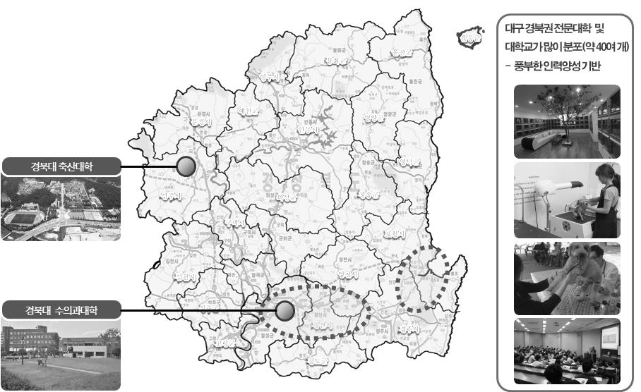 4. 반려동물전문인력양성기반 경상북도는수도권이남최대의인력양성중심지이다. 대구경북에소재한대학과전문대학은대학공시자료기준모두 39개교에이르고있다. 수도권은제외하면가장많은숫자이다. 이들교육기관을중심으로반려동물서비스분야인뷰티, 미용, 장례지도사, 케어분야등전문인력이양성되고있다.
