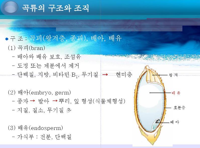 전분 75~80%