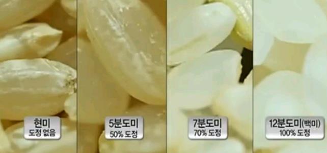 현미 (brown rice) : 쌀의껍질 ( 왕겨 ) 를제거하여얻은부분 도정 (polishing) : 속껍질 ( 과종피 ) 인겨층 ( 미강층 ; 과피, 종피, 호분층과 배아일부 ) 을제거하는것.