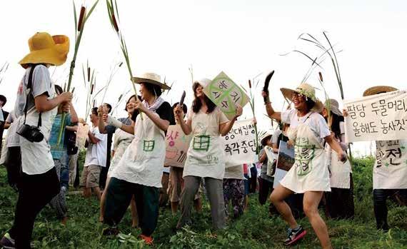 춤추는부들 8월 6일, 행정대집행이예고된날이었다. 미사는새벽다섯시에마당에서진행되었다. 사람들의사이는아주가까웠다. 어둠속에서촛불이흔들렸다. 평화의인사를나눌때는목례대신굳게악수를하기도했다. 날이밝았다. 저마다손에부들을하나씩들었다. 일렬로줄지어걸었다. 묵묵한걸음들이었다. 부들이흔들렸다. 꺾인부들이걸어갔다. 부들의행렬은높은잡초에가려지고휘어진외줄기길을따라이어졌다.