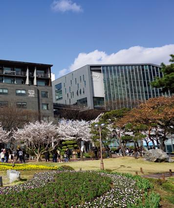 기독교정신을바탕으로온라인고등교육을통해평생학습기회를제공하여지역, 국가, 세계에봉사하는창의적인재를육성한다.