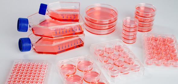 Culturewares Thermo Fisher 에서는세포배양에필요한시약이외에도세포배양에사용되는다양한플라스틱제품을 제공하고있습니다. 각연구에맞추어다양한형태의제품을선택하여사용해보세요. 또한세포냉동보 관에필요한제품을지금확인해보세요.
