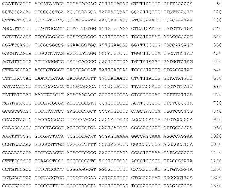 합성효소 (Glutamine synthetase) 를코딩하는유전자를추가적으로포함한다.