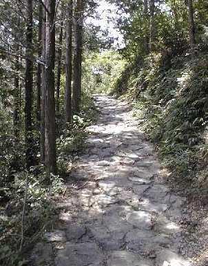 串本 - 熊野三山 120km), ( 伊勢路 ; 伊勢神宮 - 熊野三山 160km).