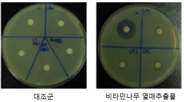 Control H. rhamnoides treatment Fig 3-47.
