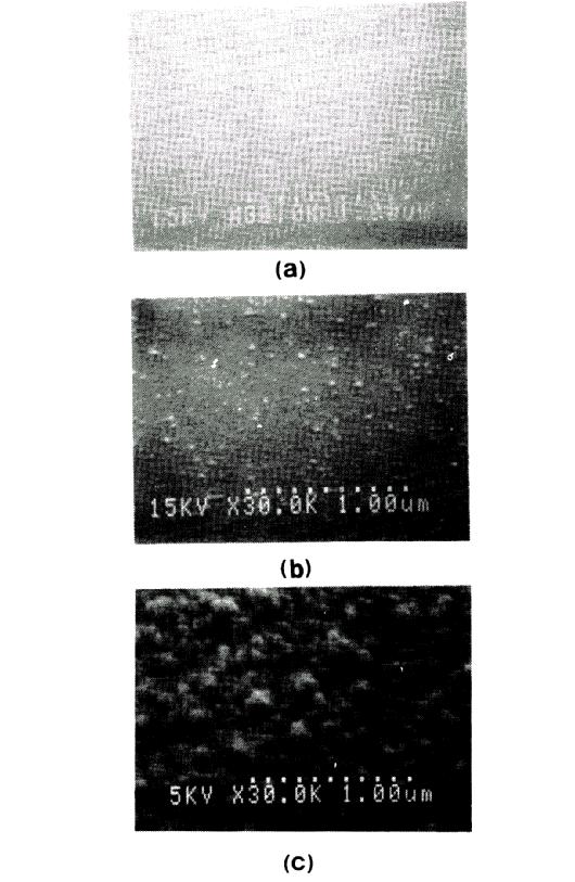 Fig 4-3 Scanning electron micrographs of the surfaces (tilt = 45 ) when tungsten depositions (250 ) are intended to be terminated at