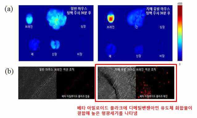 Ⅰ 기술성분석 1.