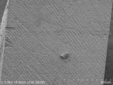 SEM micrograph of dentin side showing a representative cohesive failure within Panavia F 2.0 ( 130). Figure 2.